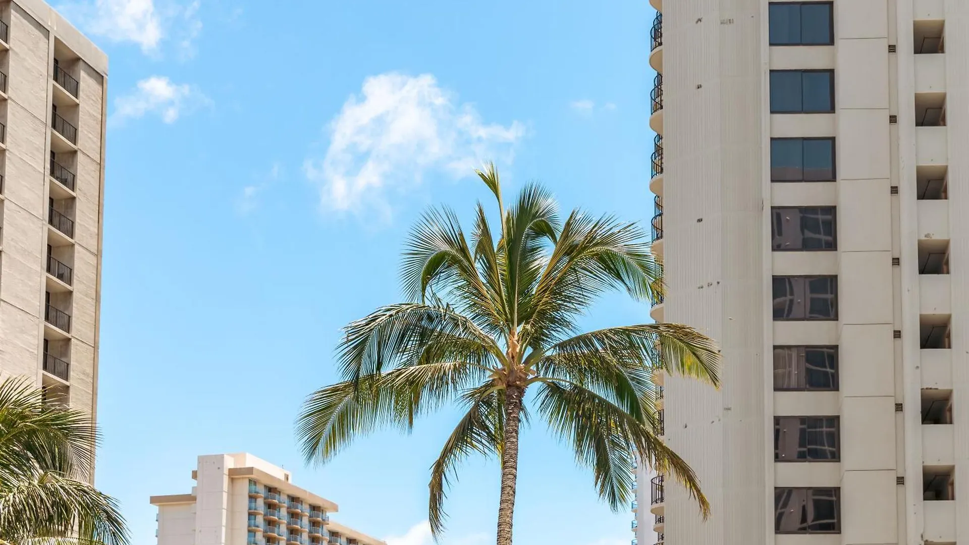 הונולולו Tropical Escape, Ocean Views Condo With Parking דירה