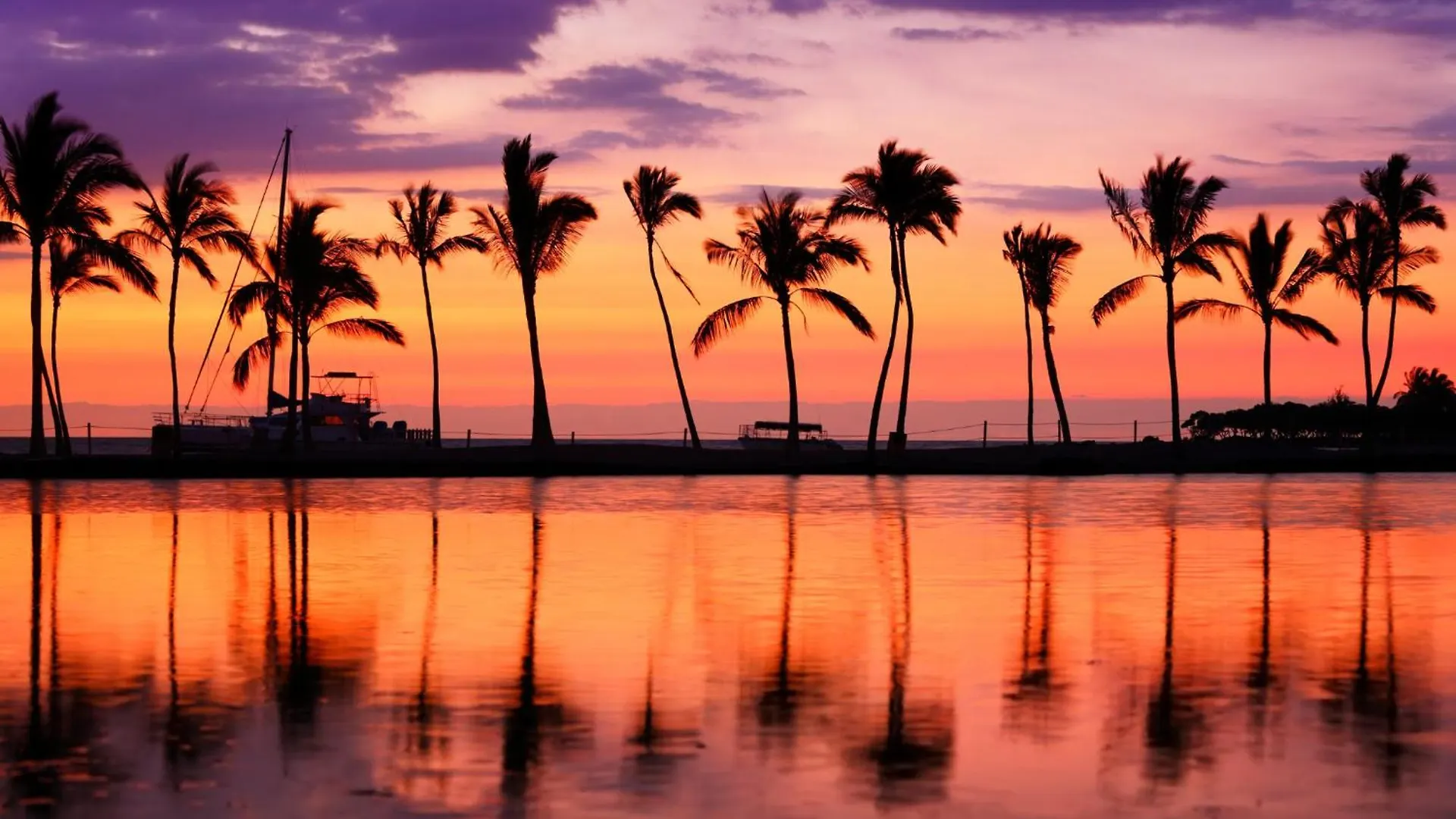 הונולולו Tropical Escape, Ocean Views Condo With Parking