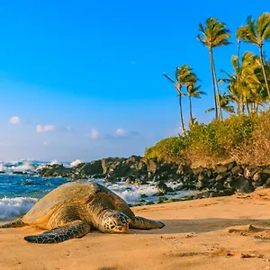  Apartment Kuhio Village 704a
